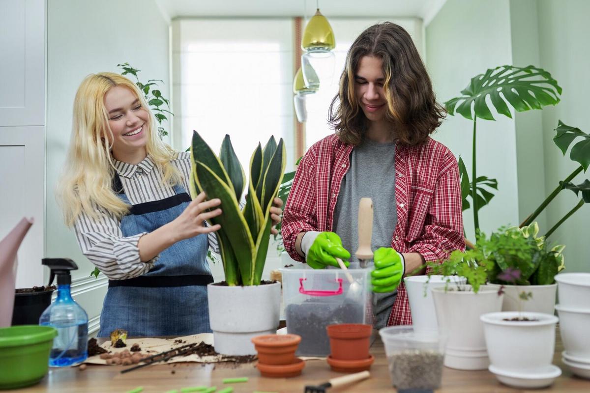 DIY Terrariums: Bringing Nature Indoors Sustainably